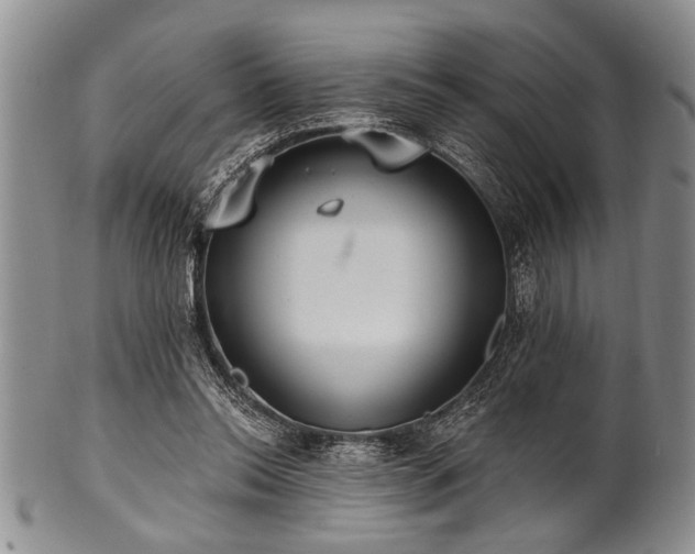 X0000100780350200806261634