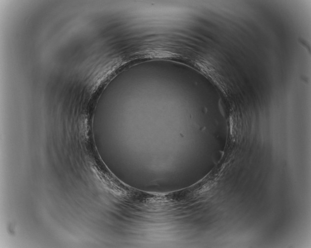 X0000100780351200806261634