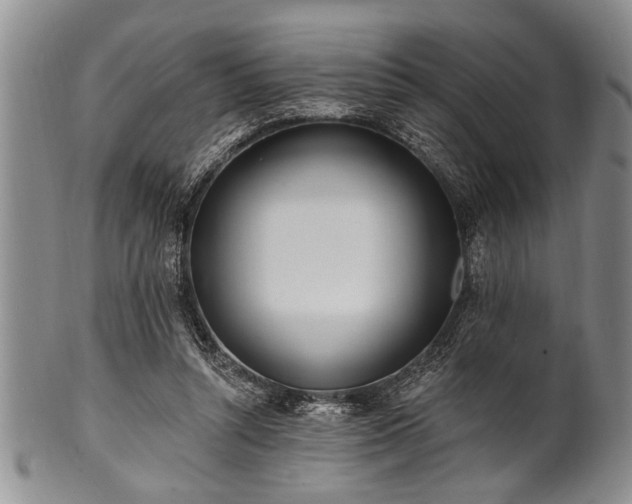 X0000100780352200806261634