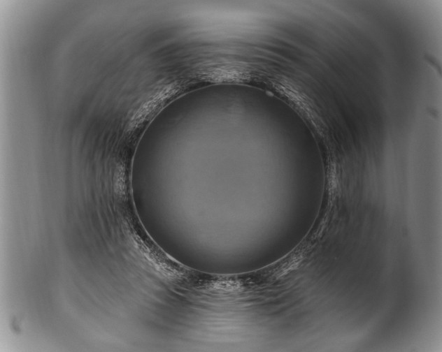 X0000100780353200806261634