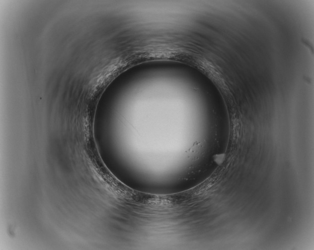 X0000100780354200806261634