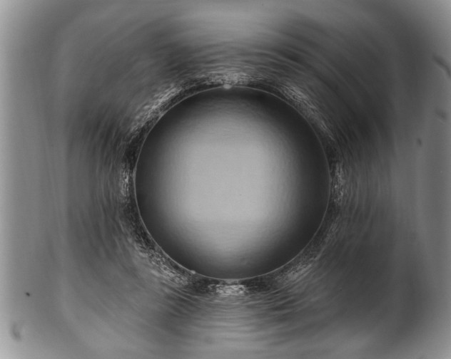 X0000100780355200806261634