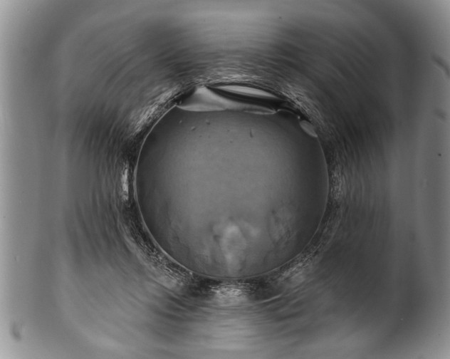 X0000100780358200806261634