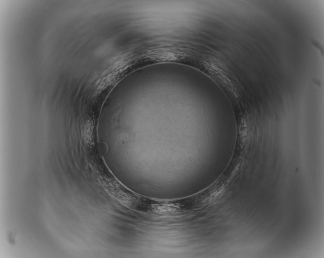 X0000100780359200806261634