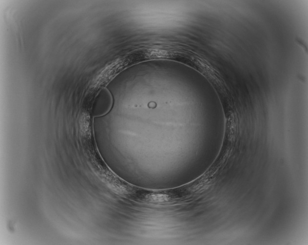 X0000100780361200806261634