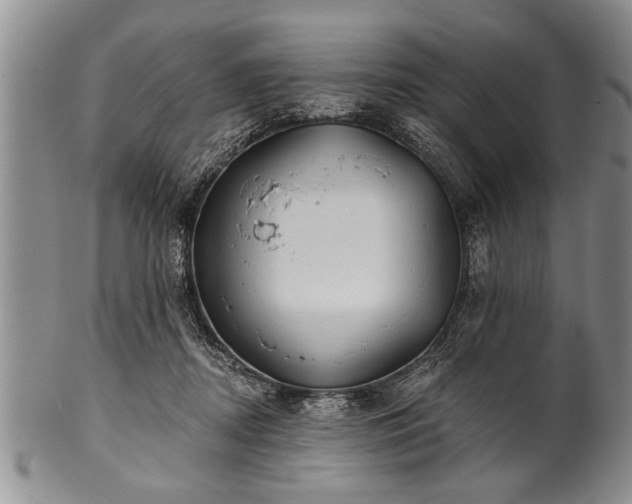 X0000100780362200806261634