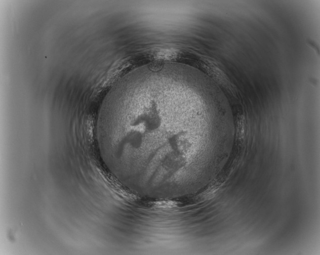 X0000100780363200806261634