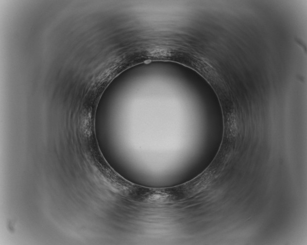 X0000100780364200806261634