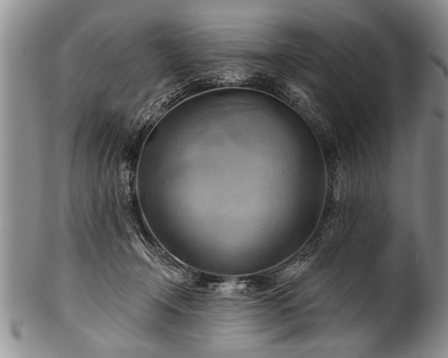 X0000100780366200806261634