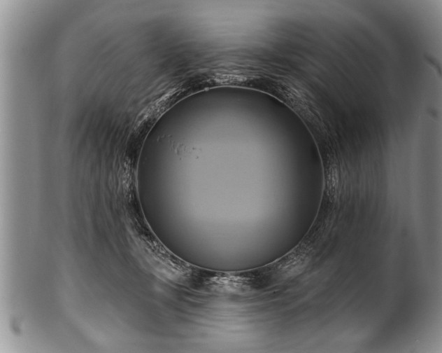 X0000100780367200806261634