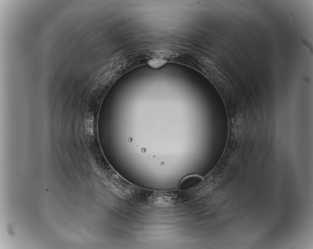 X0000100780368200806261634