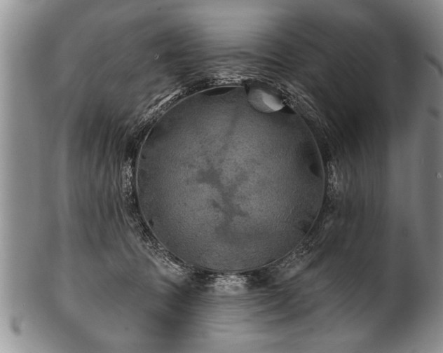 X0000100780369200806261634