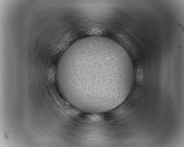 X0000100780370200806261634