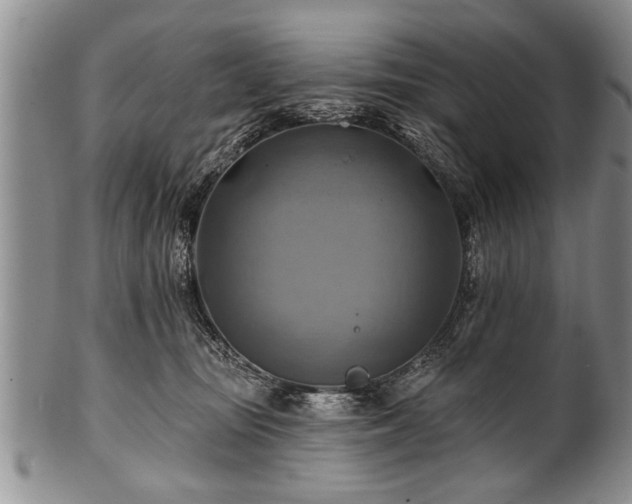 X0000100780371200806261634