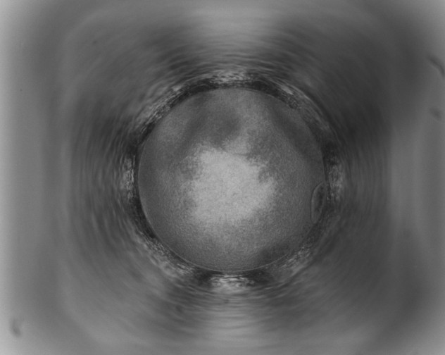 X0000100780372200806261634