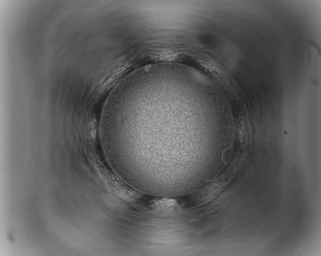 X0000100780374200806261634