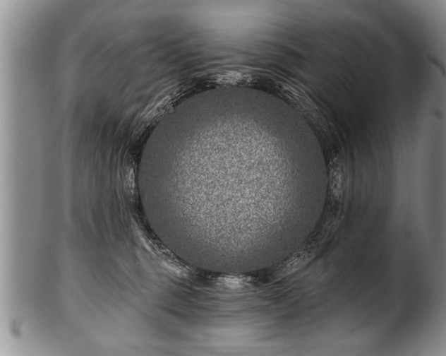 X0000100780375200806261634