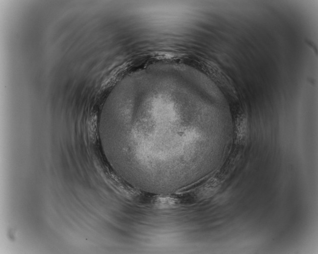 X0000100780376200806261634