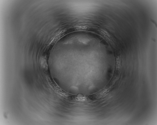 X0000100780377200806261634