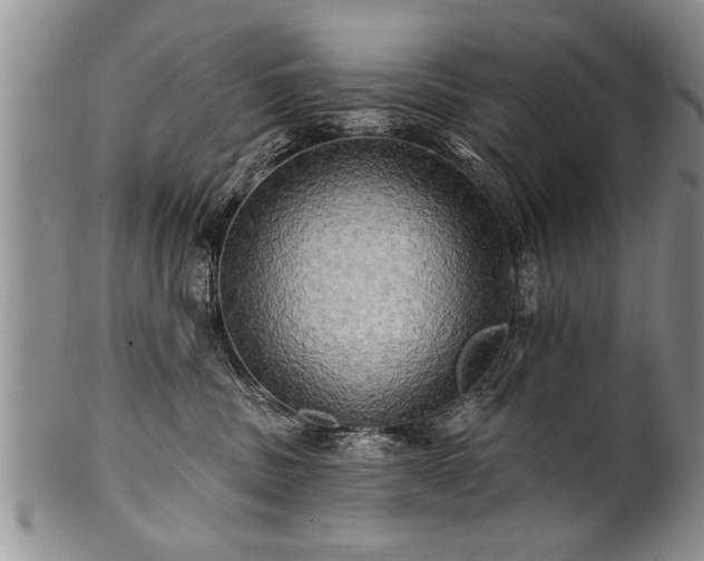 X0000100780379200806261635