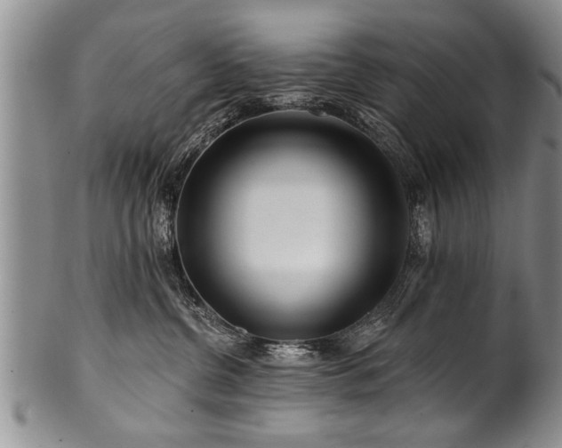 X0000100780380200806261635