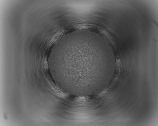 X0000100780381200806261635