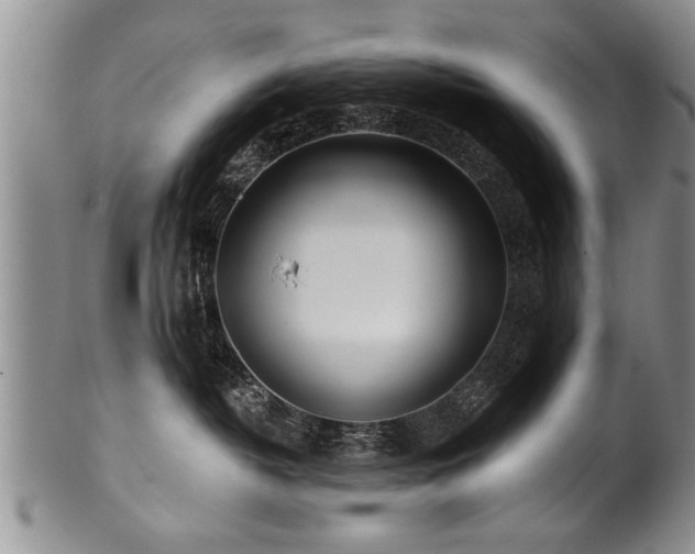 X0000100780382200806261635