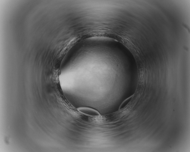 X0000100780383200806261635