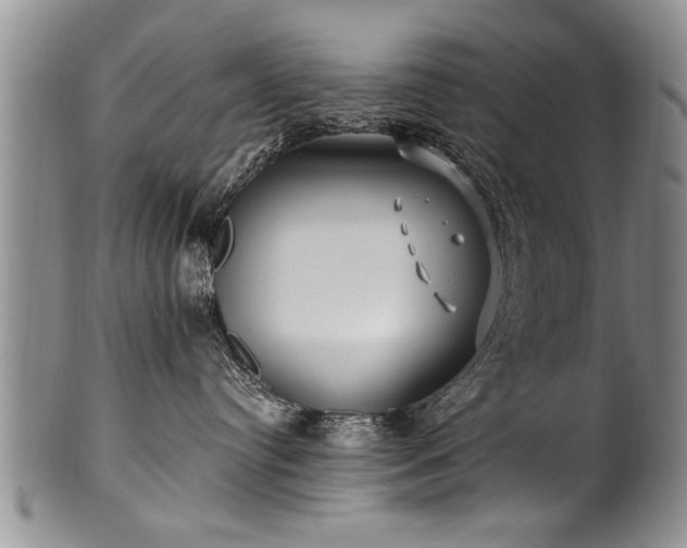 X0000100780384200806261635