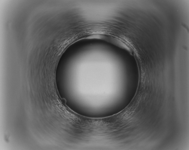 X0000100780385200806261634