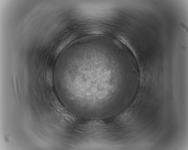 X0000100780386200806261634