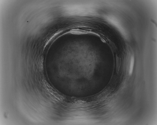 X0000100780387200806261634