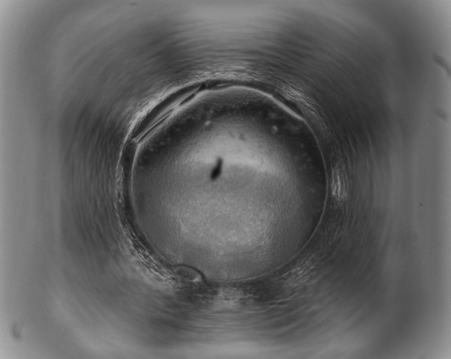 X0000100780388200806261634