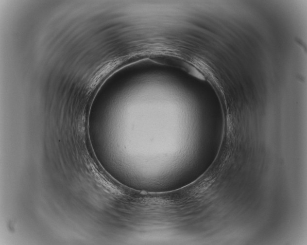 X0000100780389200806261634