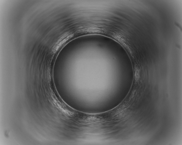 X0000100780390200806261634