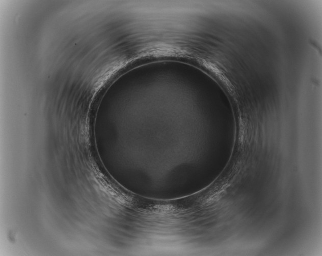 X0000100780391200806261634