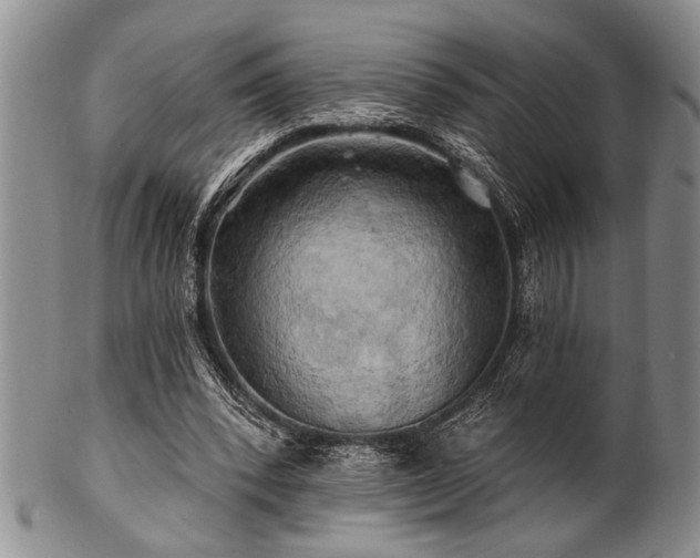 X0000100780392200806261634