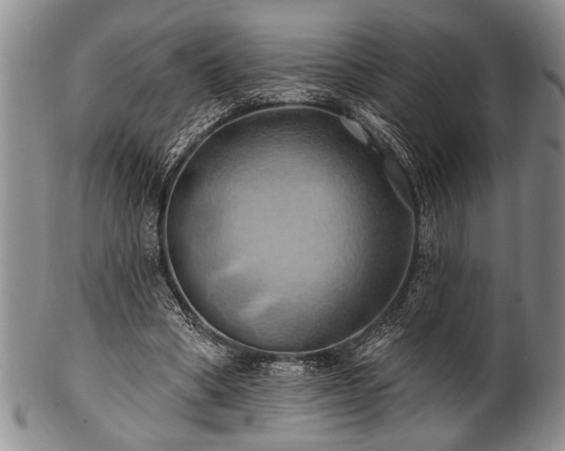 X0000100780394200806261634