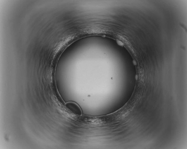 X0000100780395200806261634