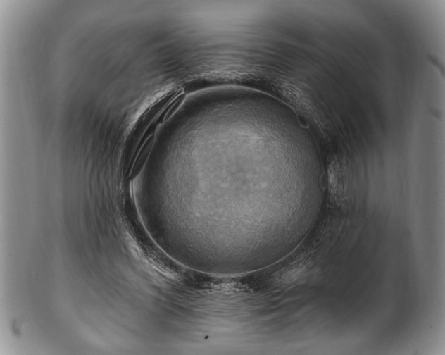 X0000100780396200806261634