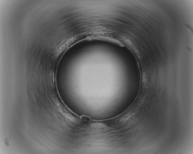 X0000100780397200806261634