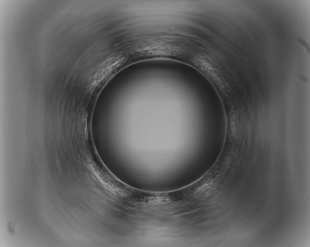 X0000100780398200806261634