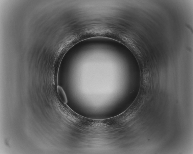 X0000100780399200806261634