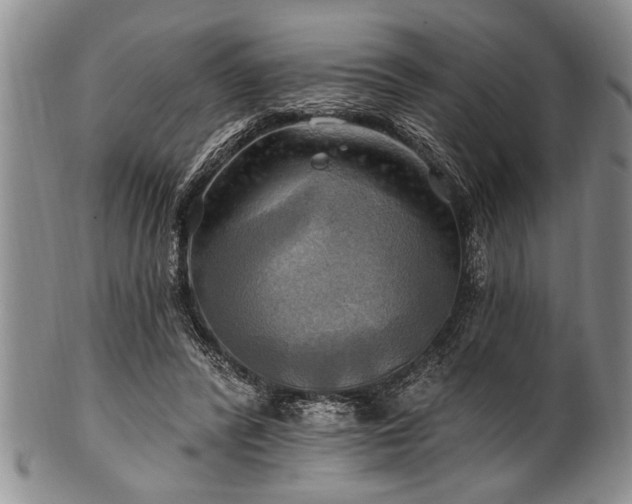 X0000100780400200806261634