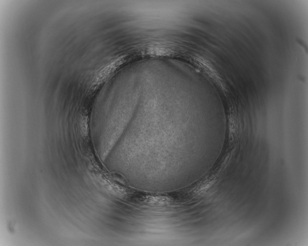 X0000100780401200806261634