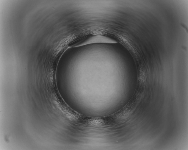 X0000100780402200806261634