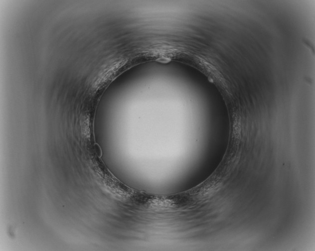 X0000100780403200806261634