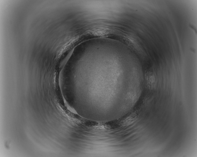 X0000100780404200806261634