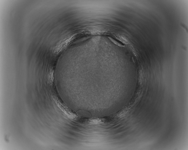 X0000100780405200806261634