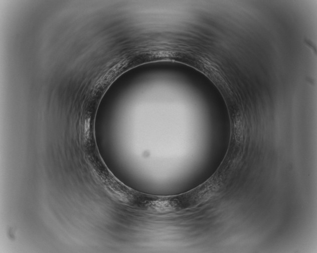 X0000100780406200806261634